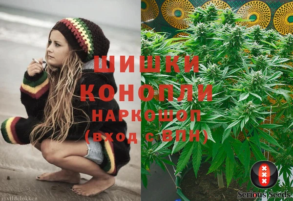 сатива Михайлов