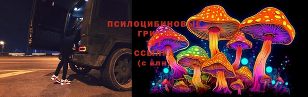 сатива Навашино