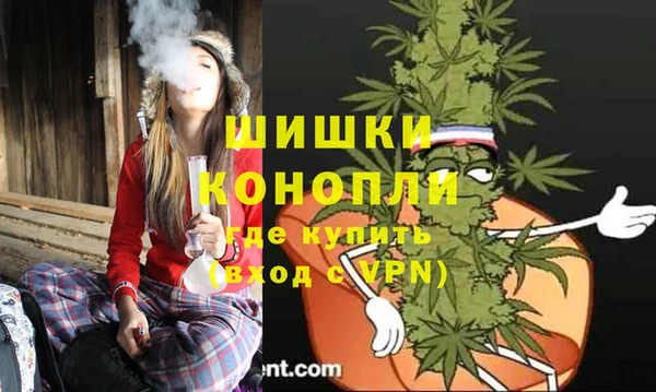 сатива Навашино