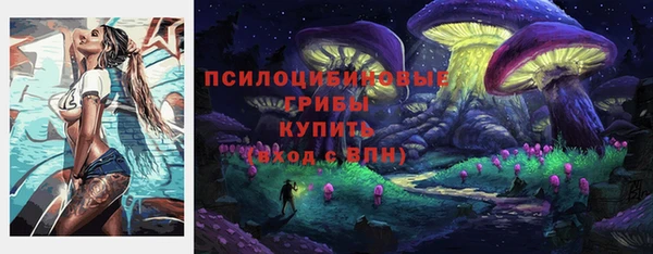 сатива Навашино