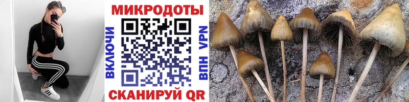 Псилоцибиновые грибы ЛСД Нижний Ломов